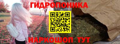 PSILOCYBIN Заволжье
