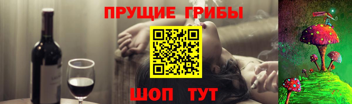 Псилоцибиновые грибы Psilocybe  Псилоцибиновые грибы GOLDEN TEACHER  Вход с VPN  Мариинск 